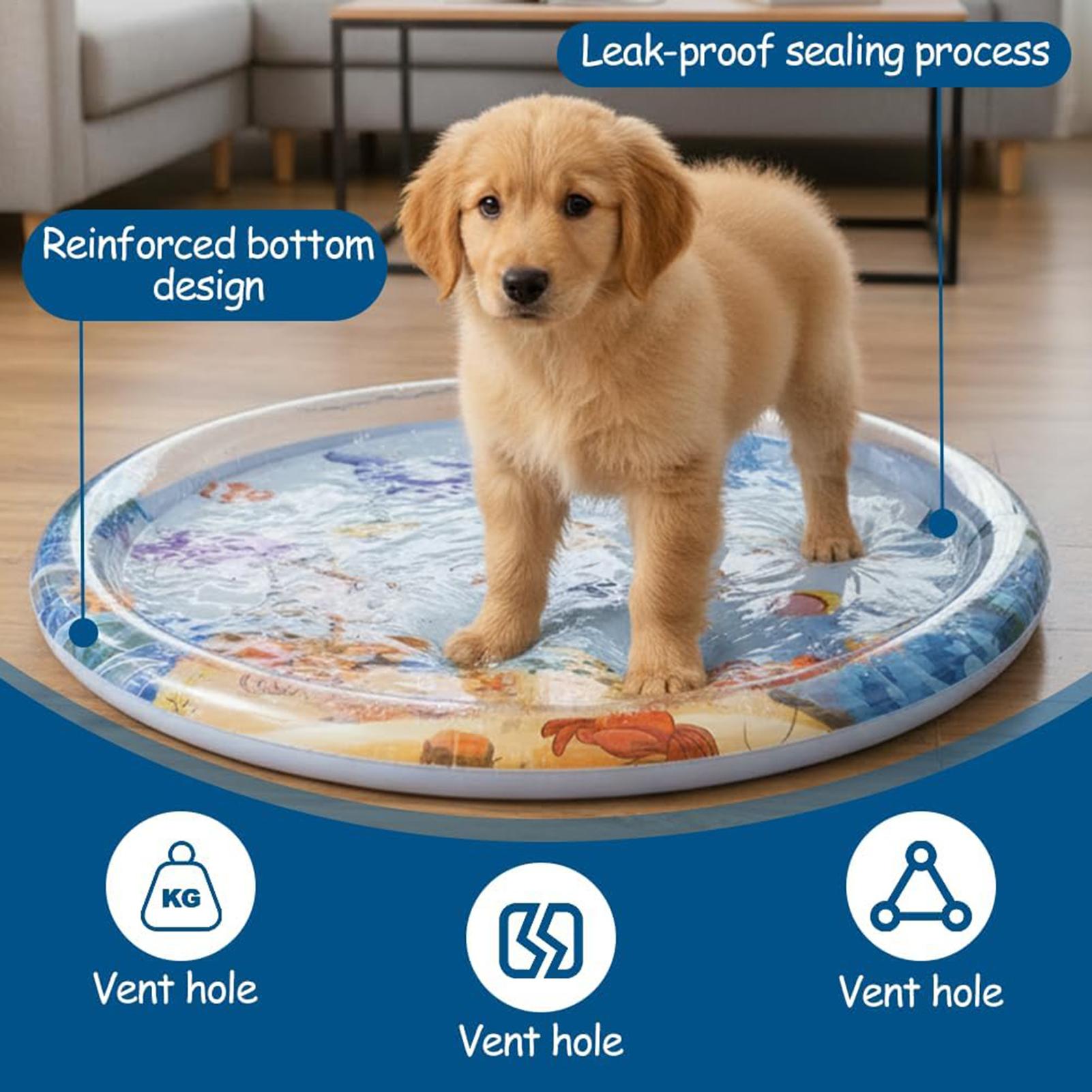 Slip Slide Water Mat - حصيرة لعب تفاعلية سميكة للقطط، سرير