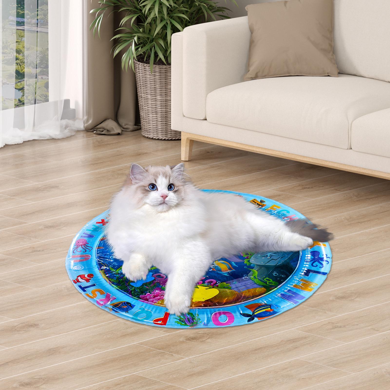 بساط لعب حسي بالماء للقطط والك - مراجعة Slip Slide Water Mat وسعره